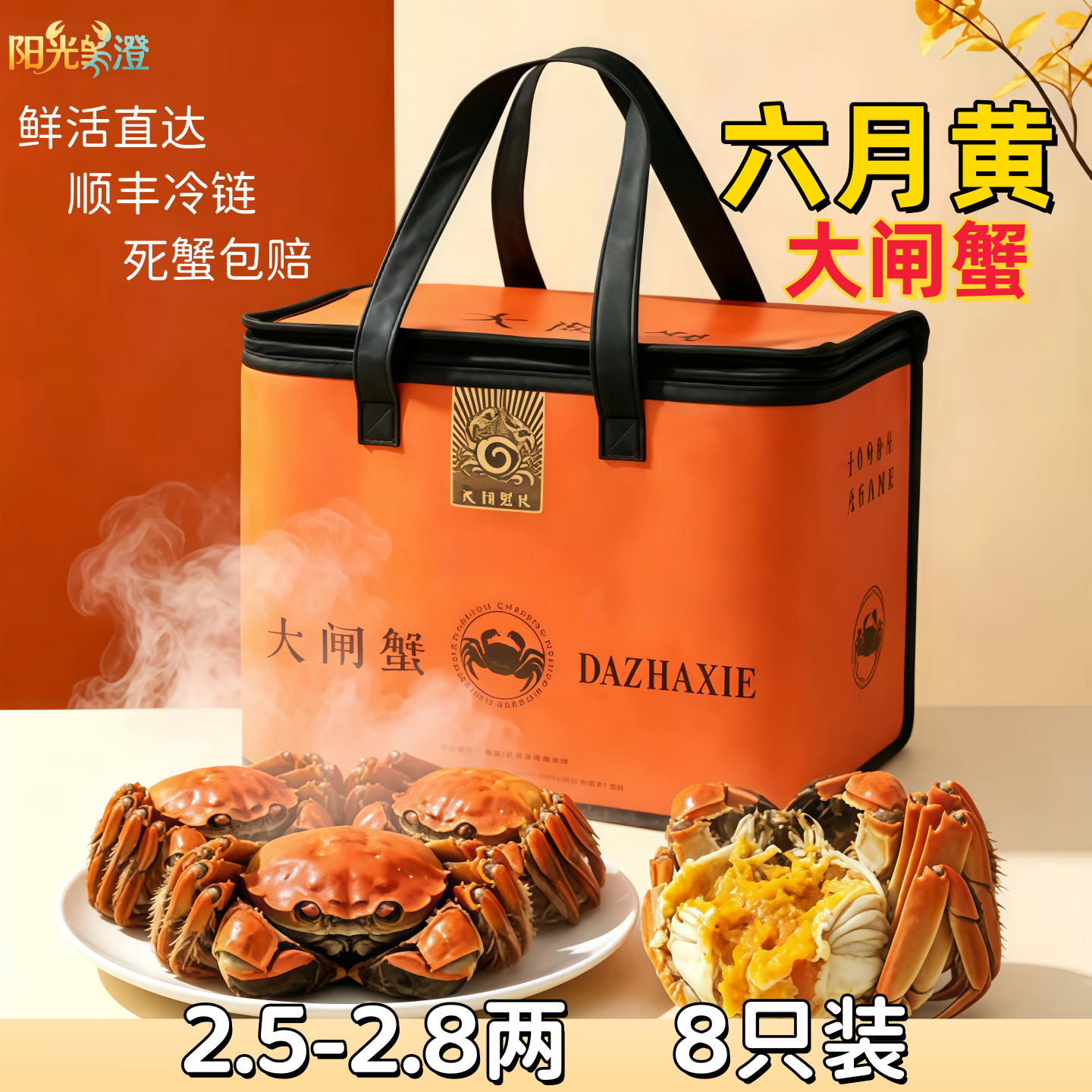 阳光彧澄【活蟹】苏州鲜活现货大闸蟹水产螃蟹生鲜精美礼盒公母蟹顺丰发 精选六月黄2.5-2.8两 8只装
