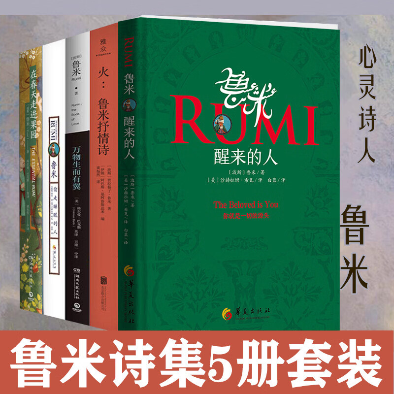 鲁米诗集全套5册 醒来的人 鲁米抒情诗火 偷走睡眠的人 万物生而有翼 在春天走进果园 张德芬作序武志红推荐