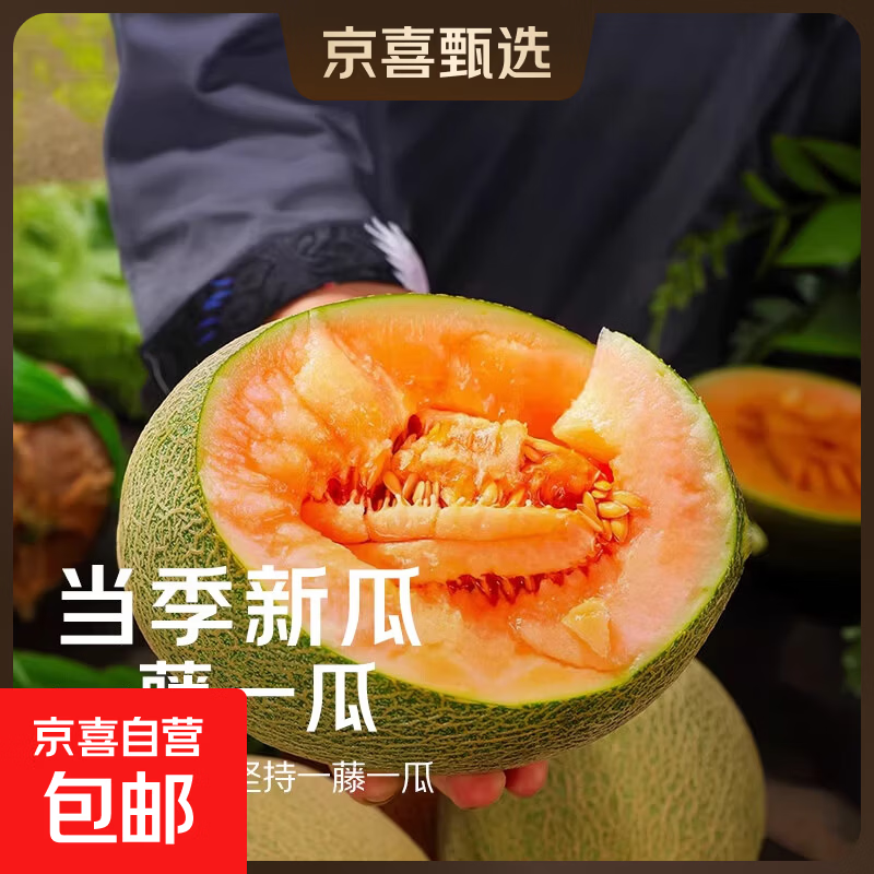 海南哈密瓜正宗新鲜水果西周晓蜜25号老汉瓜甜网纹生鲜特产爆甜 净重8-9斤（3-5个）