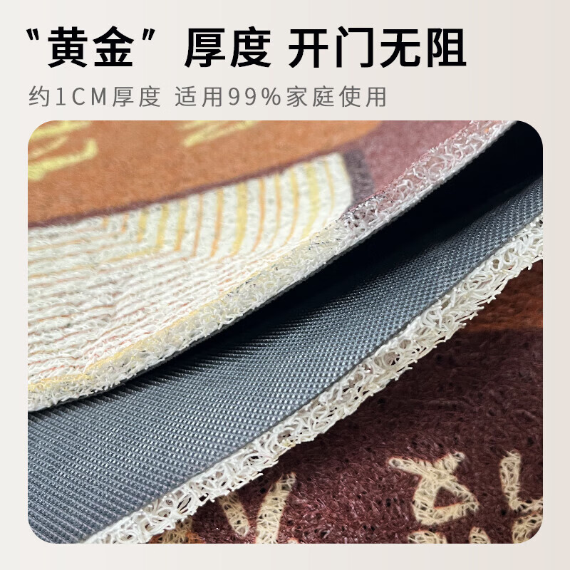 雨萱入户地垫门口脚垫家用进门垫玄关防滑防水门垫卧室客厅加厚地毯垫 好柿发生【丝圈】 80cm*120cm