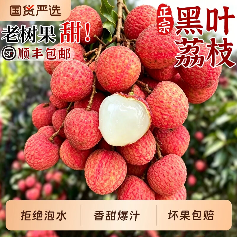 RONGXIAN广东茂名黑叶荔枝新鲜水果当季乌叶荔枝 3斤超划算丨单果18-25g 净重2.5斤