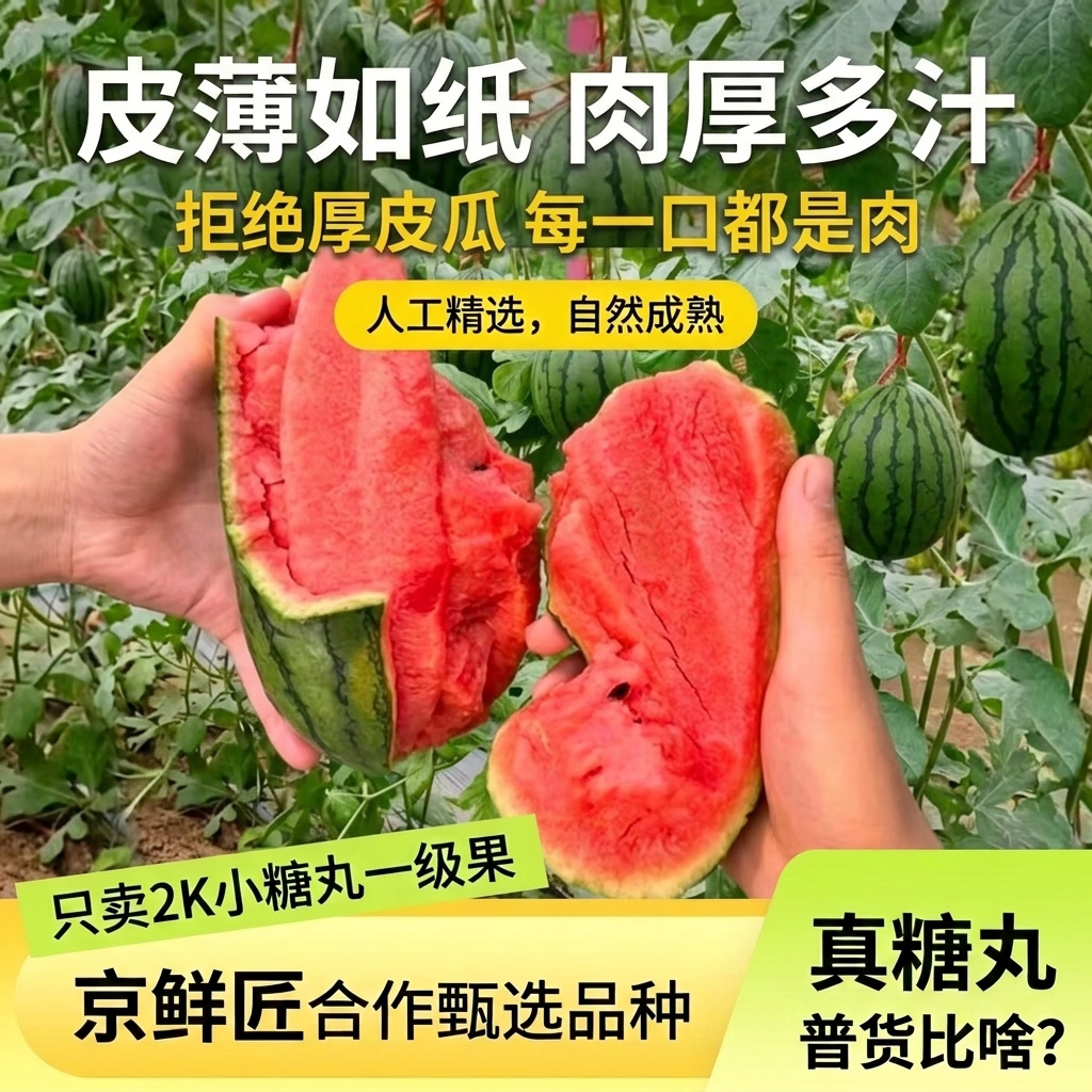京鲜匠手撕小糖丸2k小西瓜 手剥脆甜薄皮西瓜 生鲜水果新鲜产地直发 净4-5斤 精品果