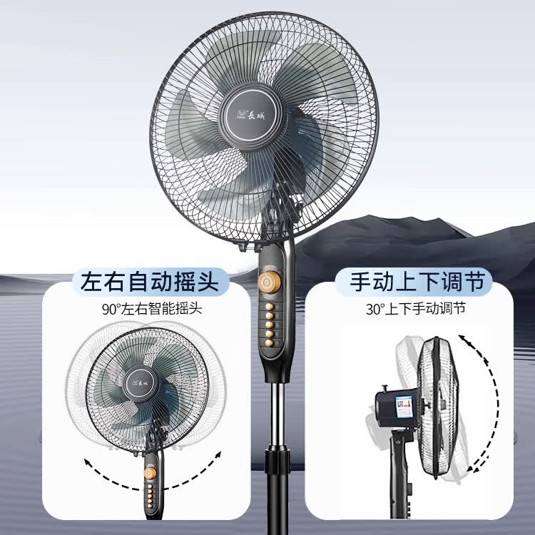 长城电风扇落地扇大风量办公室家用可拆洗电扇摇头轻音立式交流定频风扇落地  14寸定时摇头（FS-35ii货号217）