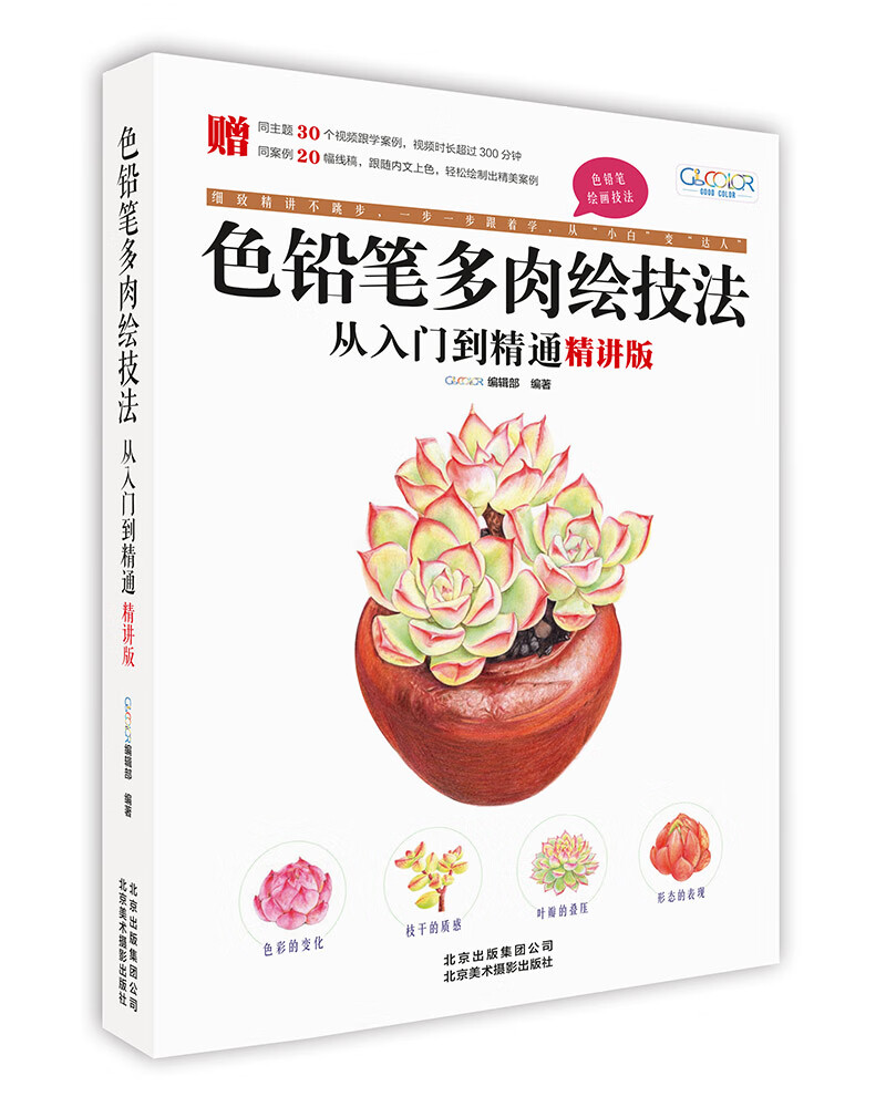色铅笔多肉绘技法从入门到精通(精讲版)