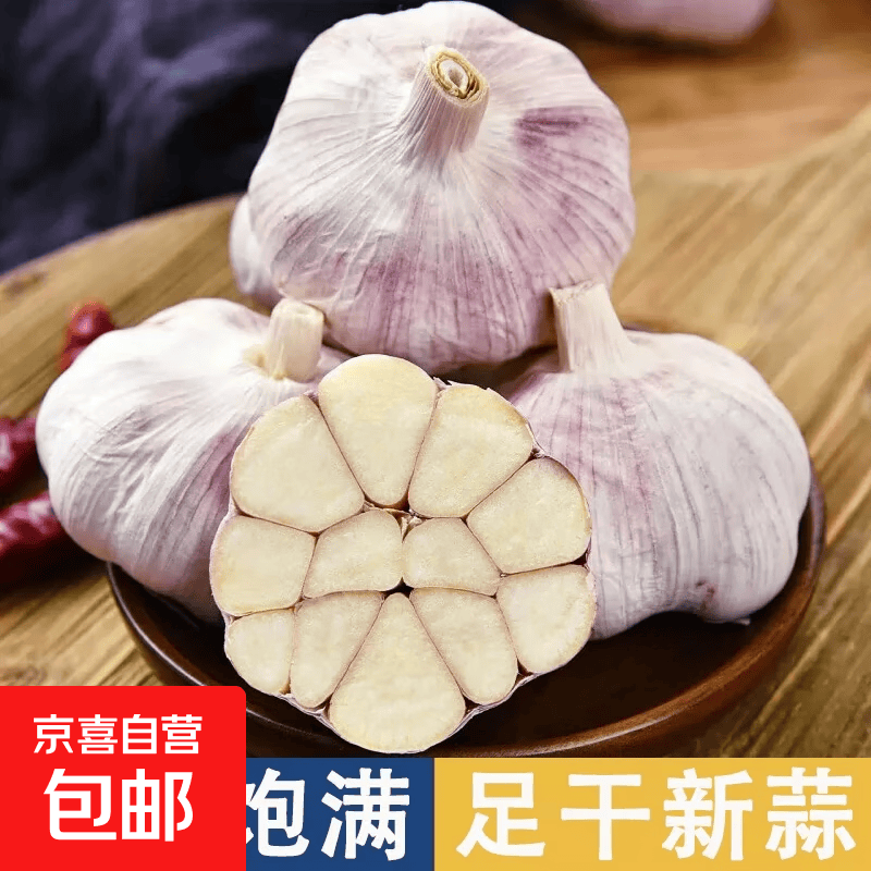 2026年正宗金乡新干蒜头新鲜蔬菜紫皮蒜干蒜红皮蒜大头蒜十足干 【精品大蒜4.5公分】6头