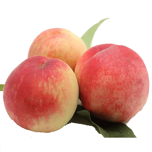 京鲜生突围水蜜桃净重4.5斤 单果140g+ 蒙阴蜜桃 桃子生鲜水果 源头直发
