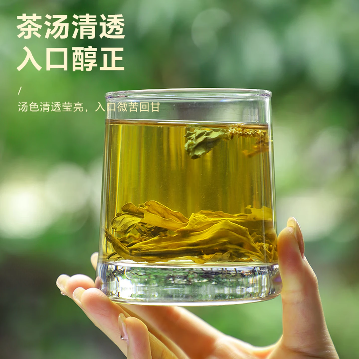 协穆野生车前草新鲜正品带穗自然生长晾晒中药材绛酸利尿喝的养生茶  【2026新货】车前草 100g*4罐