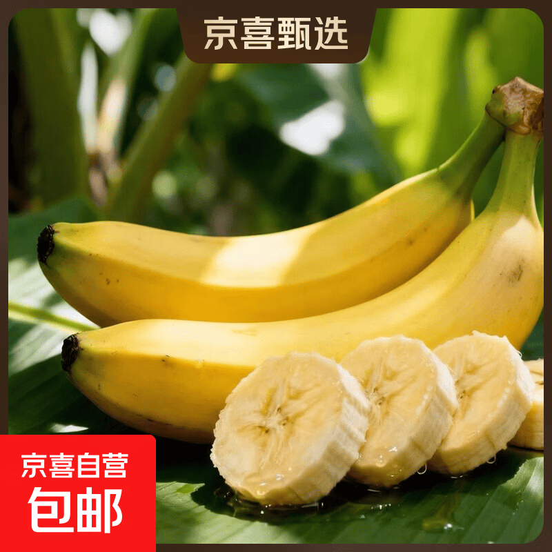 京喜加广西正宗高山现摘当季新鲜青皮香蕉自然熟单根蕉 带箱8斤净重7.4斤+