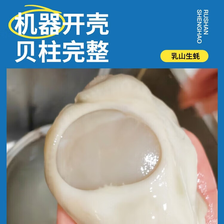 俏虾客有机生蚝肉500g罐装 12-17只 大蚝肉