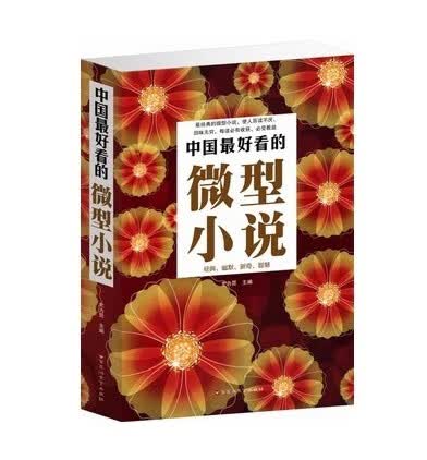 中国好看的微型小说小小说短篇小说选刊杂志系列图书籍 经典袖珍小说 小小说精选 现当代青春励志短篇