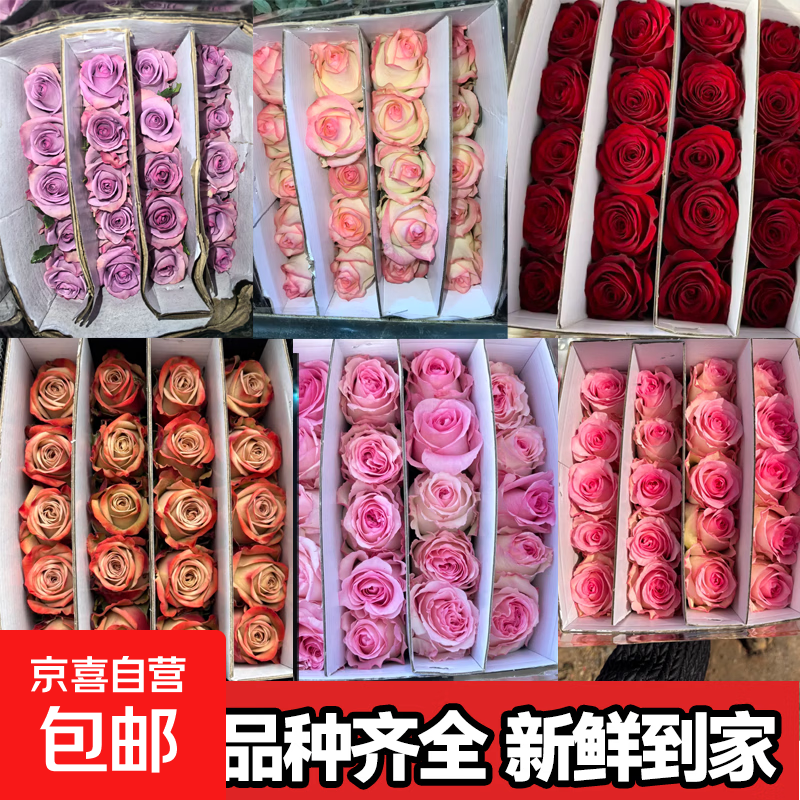 玫瑰盲盒鲜花随机玫瑰洛神艾莎斗南基地直发送礼花束包邮【Q】 【5枝+1枝防损耗】随机盲盒玫瑰 基地直发款