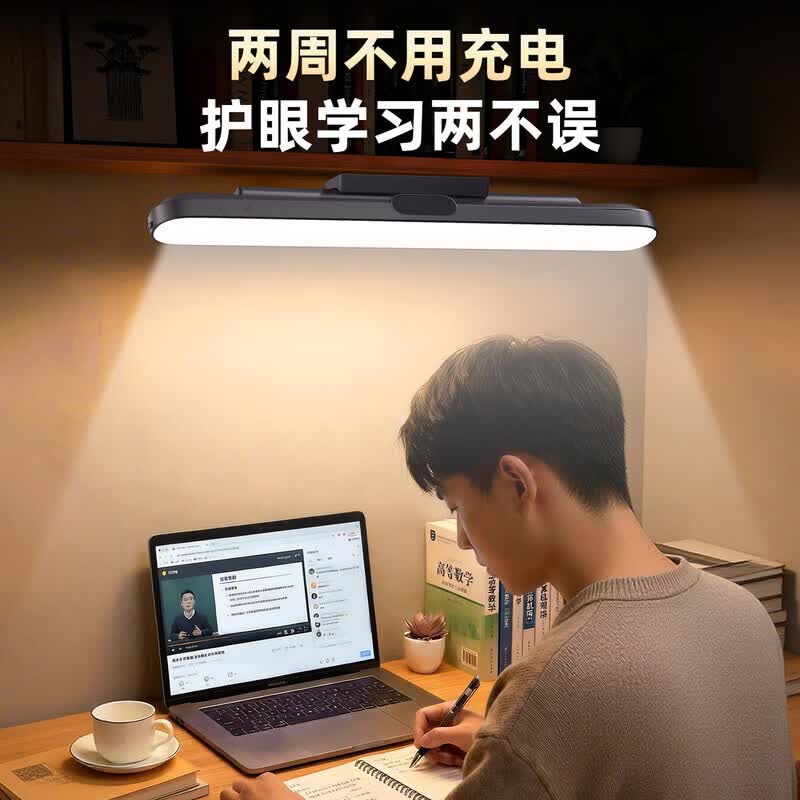 大头人（datouren）台灯大学生宿舍灯床头磁吸灯阅读充电台灯超长续航护眼学习酷毙灯 【充插两用】+4000mAh+三色温