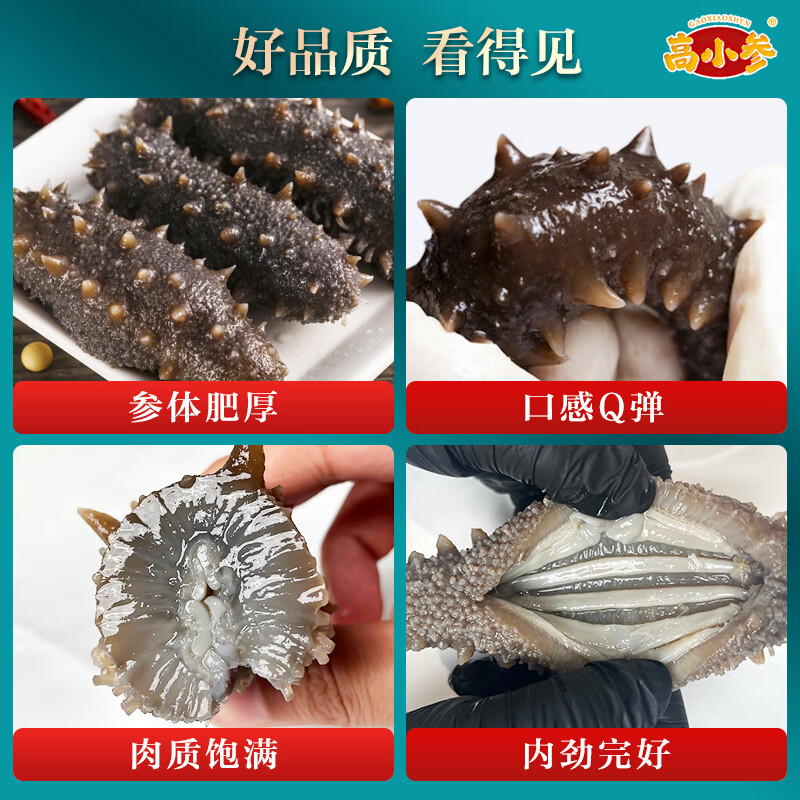 高小参鲜食海参选用5年以上自然生长精品海参每斤5-6头大个营养充足顺丰 5斤家庭装共25-30头（普通盒装无礼盒）