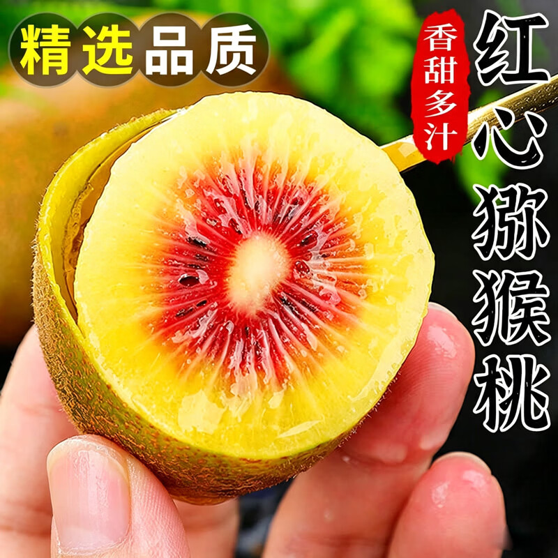 贡鲜果农四川蒲江红心猕猴桃新鲜水果奇异果孕妇应季水果整箱包邮自然熟 【20枚小果】单果50-70g