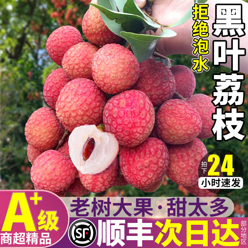 三萌果蔬黑叶荔枝新鲜【JD顺丰-多地次日达】福建新鲜荔枝端午节水果礼盒 净重4.5斤精品果【单果16g+】