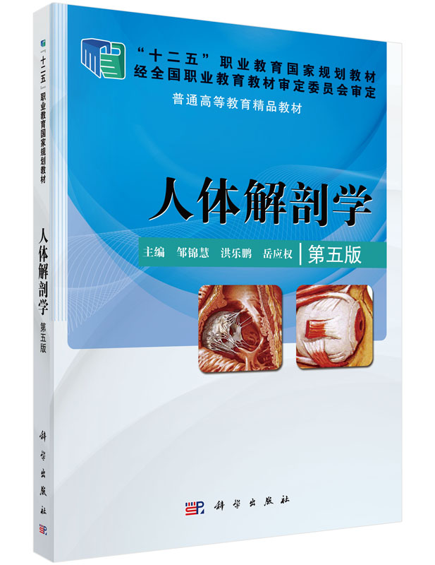 人体解剖学(第五版)邹锦慧,洪乐鹏,岳兴权