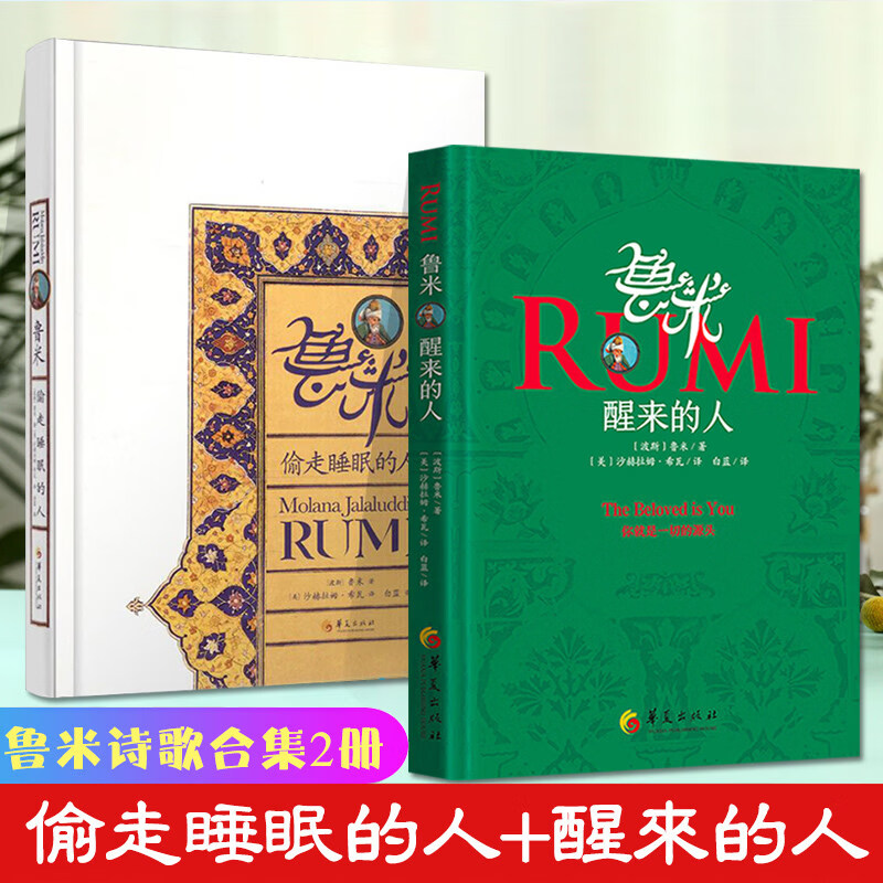 鲁米诗集全套5册 醒来的人 鲁米抒情诗火 偷走睡眠的人 万物生而有翼 在春天走进果园 张德芬作序武志红推荐