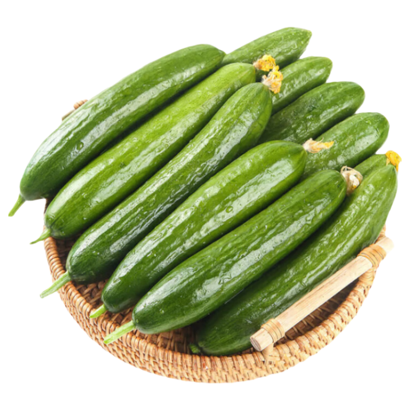 京鲜生 山东荷兰水果黄瓜 净4.5斤 单果70g+ 健康轻食早餐蔬菜 源头直发