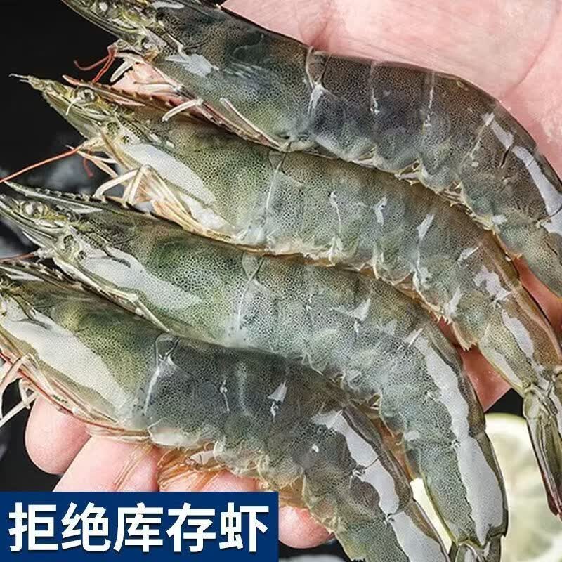 冰鲜部族精品青岛大虾国产白虾青虾基围虾鲜虾冷冻生鲜虾鲜活特大海捕整箱 15-18厘米【活虾单只速冻】 3斤(净重)