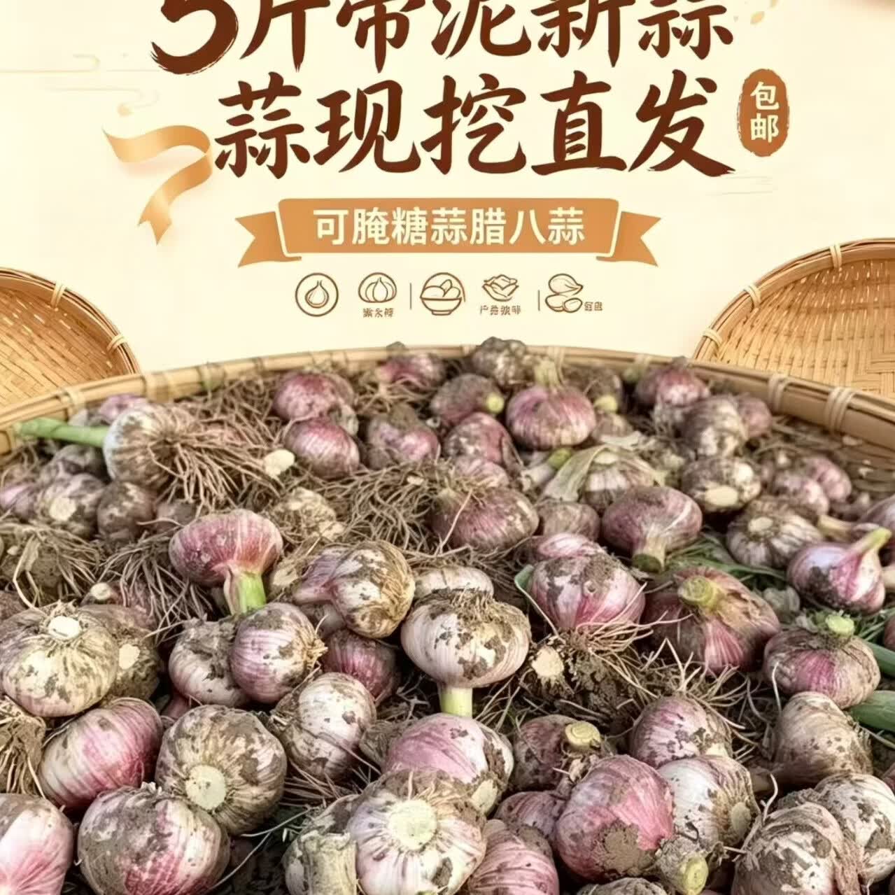 穆德新鲜蒜农产品新鲜蒜蒜头农户自种产地直销 5斤