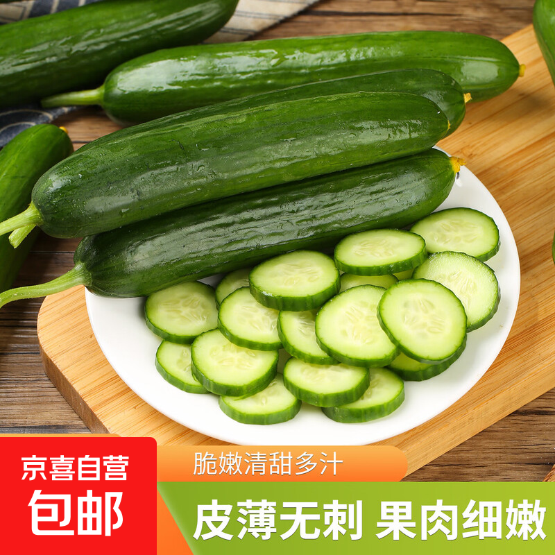 山东水果黄瓜新鲜无刺小黄瓜脆甜生吃可口乳瓜当季蔬菜减脂生鲜 水果黄瓜新鲜无刺 2斤带箱净重1.8斤