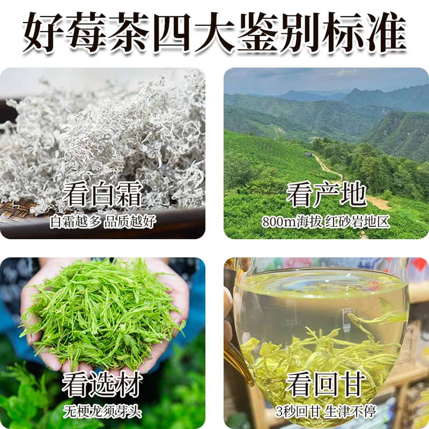 协穆2026新货张家界野生莓茶芽尖莓茶湖南正宗龙须嫩芽藤茶茶叶养生茶 【铁罐礼盒】新霉茶 200g*2罐 净重200克