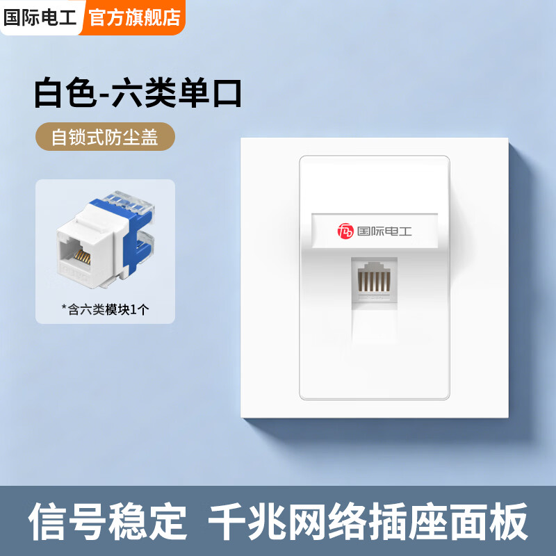 国际电工（FDD）千兆六类电脑插座办公室七类万兆网络插座宽带双网口接口面板插座 六类【单电脑】白色