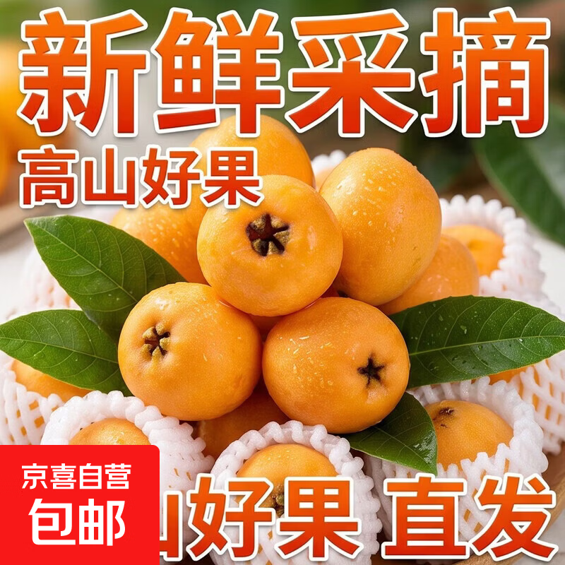 京喜加正宗云南蒙自高山五星长虹甜枇杷新鲜采摘孕妇止咳化痰水果 1斤试吃装（单果重20克+）