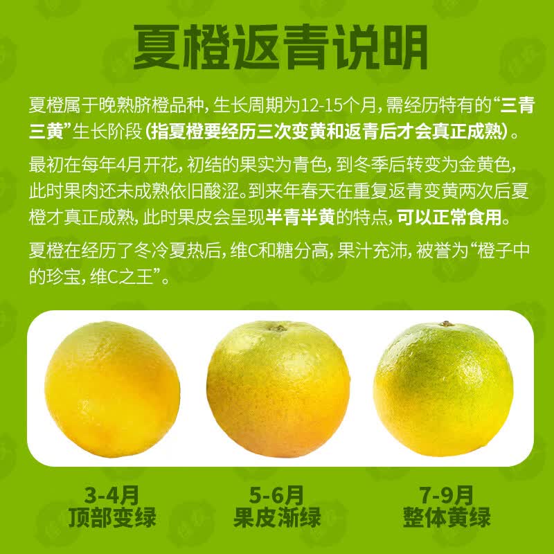佳农秭归夏橙2.5kg酸甜清新爽口爆汁新鲜橙子 5斤礼盒装