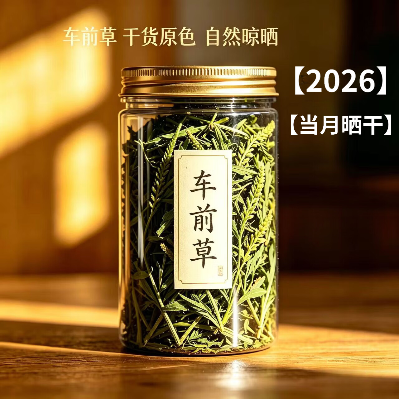 协穆野生车前草新鲜正品带穗自然生长晾晒中药材绛酸利尿喝的养生茶  【2026新货】车前草 100g*4罐