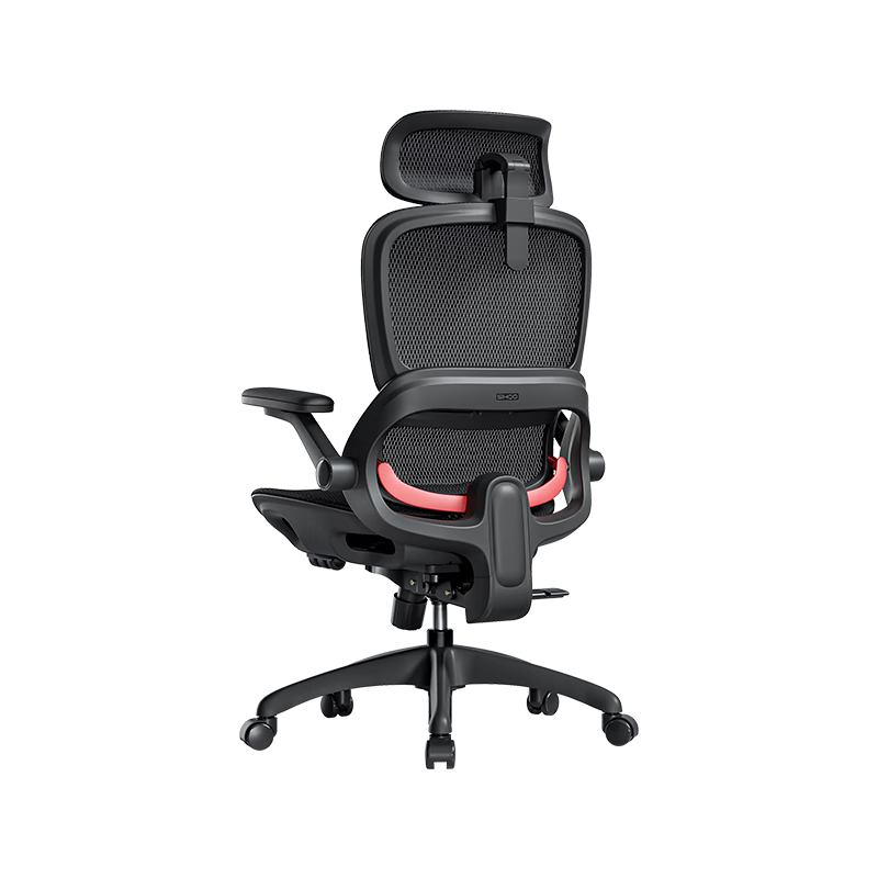 ��� B100Pro ������ ���幤ѧ�� ҫ��529Ԫ