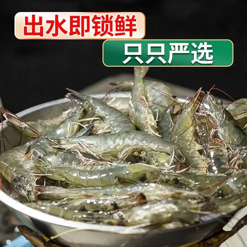 冰鲜部族精品青岛大虾国产白虾青虾基围虾鲜虾冷冻生鲜虾鲜活特大海捕整箱 15-18厘米【活虾单只速冻】 3斤(净重)
