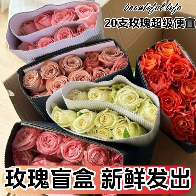 与花同行随机惊喜盲盒玫瑰鲜花斗南基地直发室内家居办公室水培送礼花束 【桌面摆件】随机玫瑰 【中通快递10枝装】20%不售后38cm-48cm