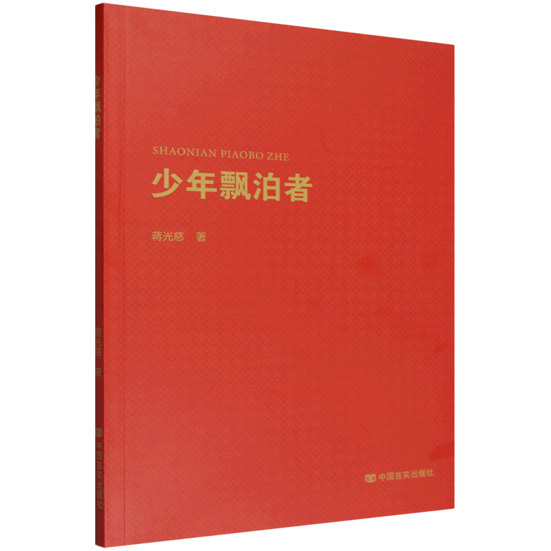 少年漂泊者