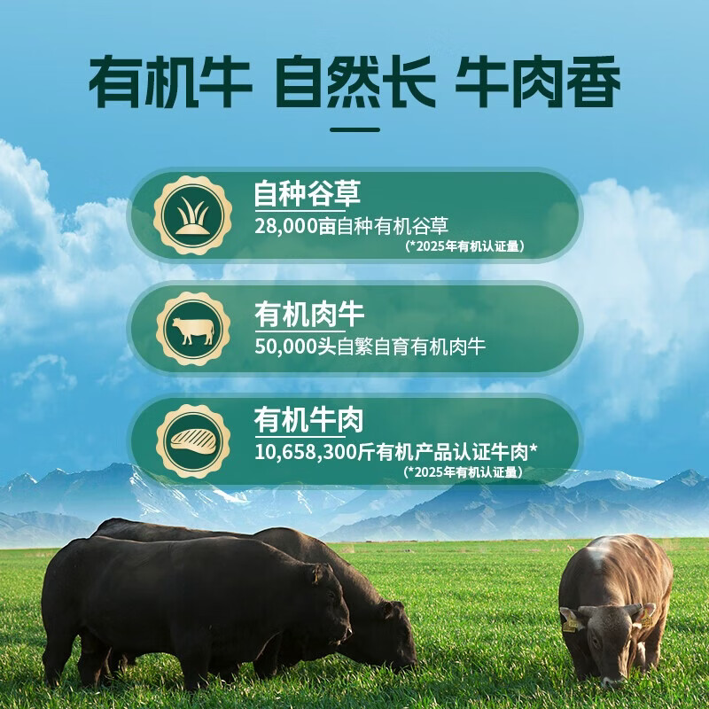 天莱香牛 原切肥牛肉卷 涮火锅食材 OFDC有机认证 新疆 全产业链 【CP装】有机牛肉卷900g