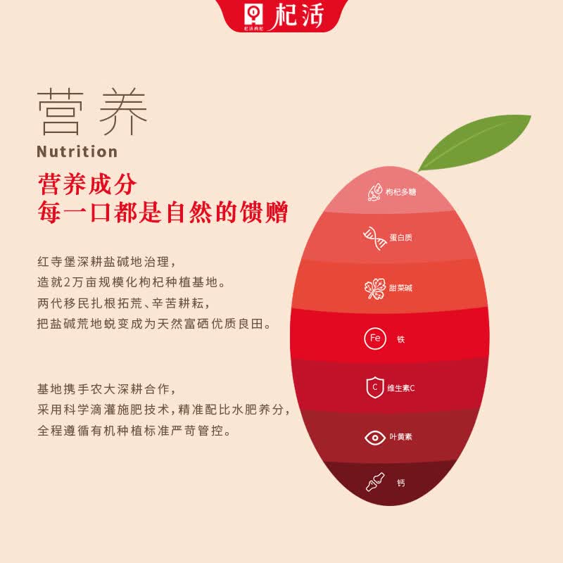 杞活出品 鹏胜红【宁夏正宗】 枸杞 干果  【宁夏正宗】特优级 日常款 250g*1罐