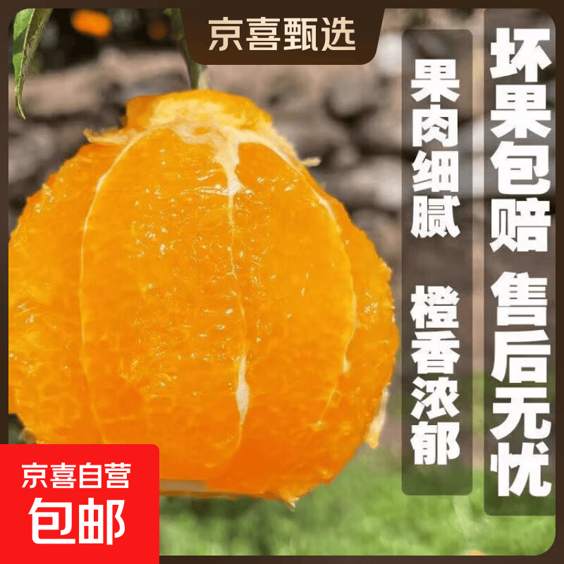 湖北秭归橙爆汁橙 带箱2斤55-60mm