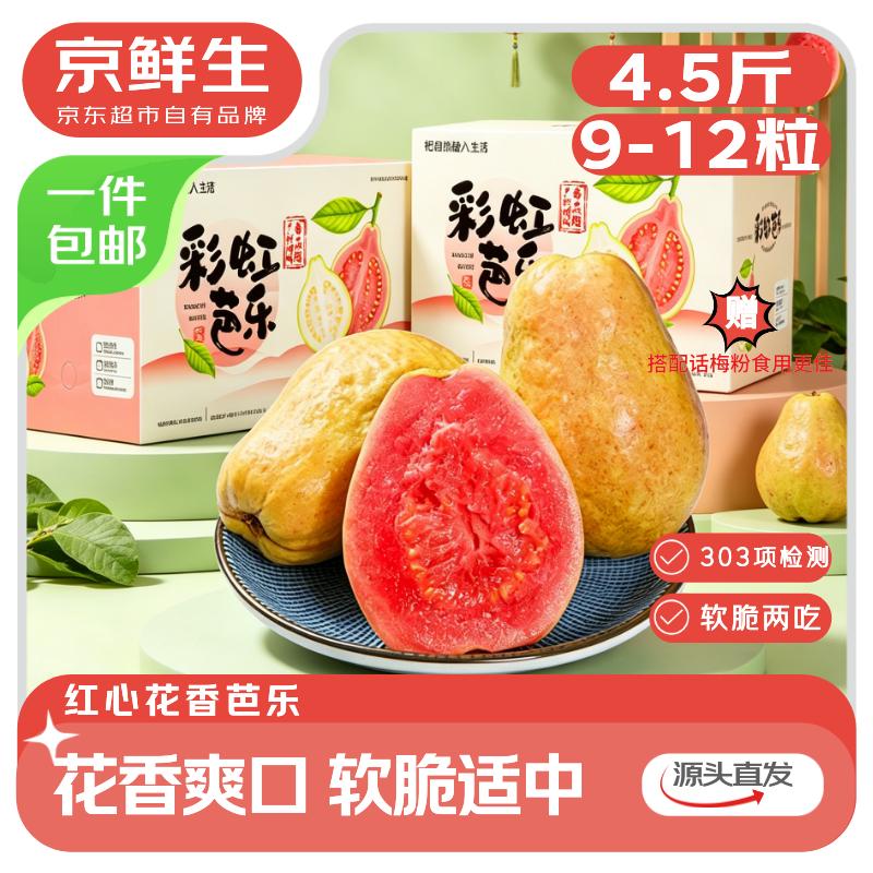 京鲜生 广东红心芭乐净重4.5斤 单果130g+ 软糯脆爽两吃源头直发包邮