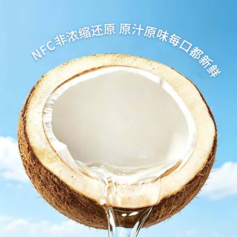 SUSA有机椰子水333ml*10瓶礼盒装 NFC非浓缩还原有机纯椰汁