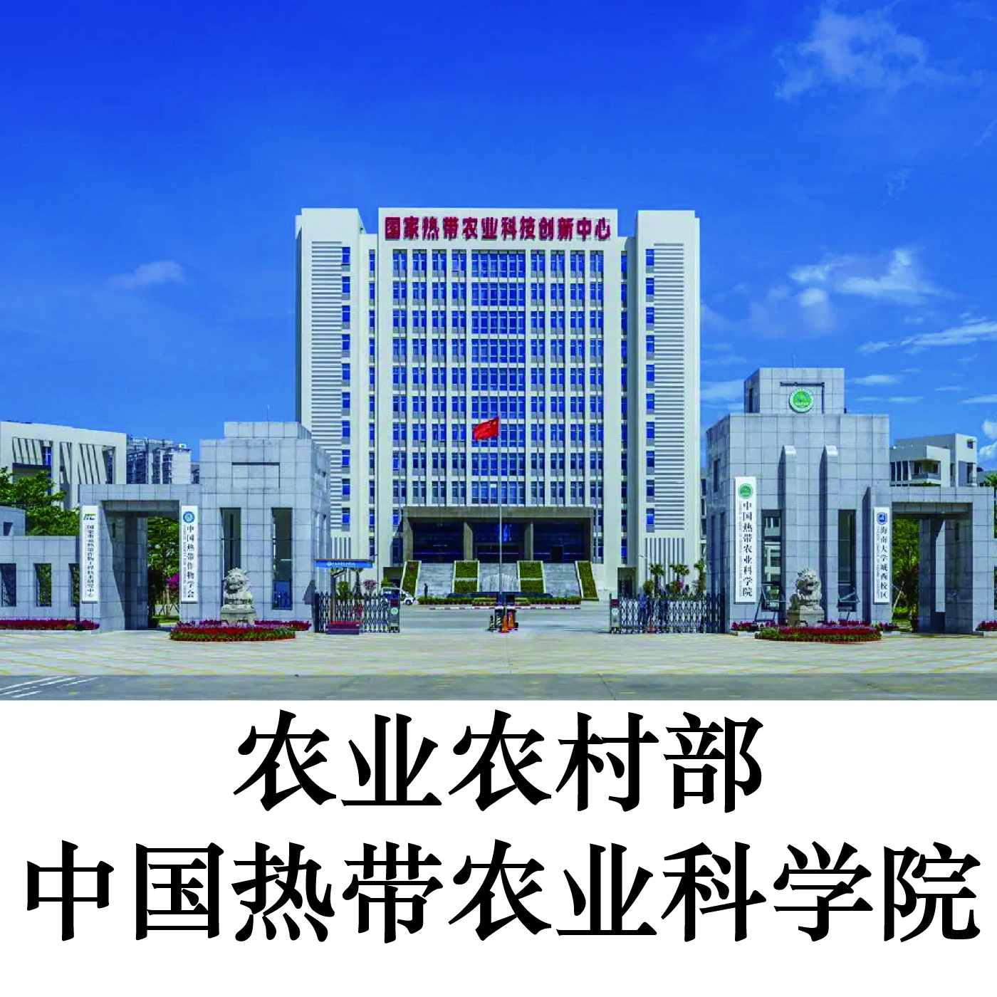 常予【海南纯沉香】线香·忘忧【中国热带农业科学院研制】沉香礼品