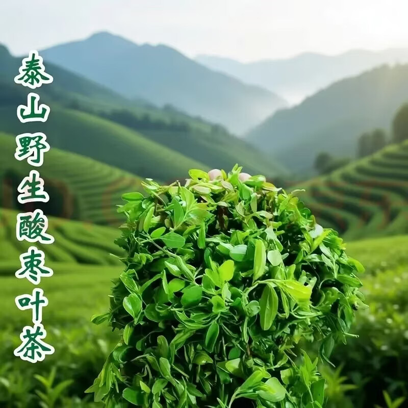 同仁堂（TRT）胖东来同款正宗特级酸枣芽茶新货嫩芽泰山野生酸枣叶茶睡眠养生茶 补助睡眠 120g*4罐