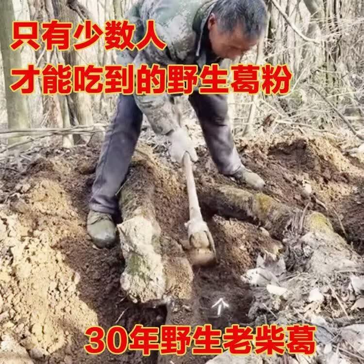 胖东来同款正品深山老柴葛根粉野生无添加即食冲泡营养无糖食补餐粉 250g*4罐
