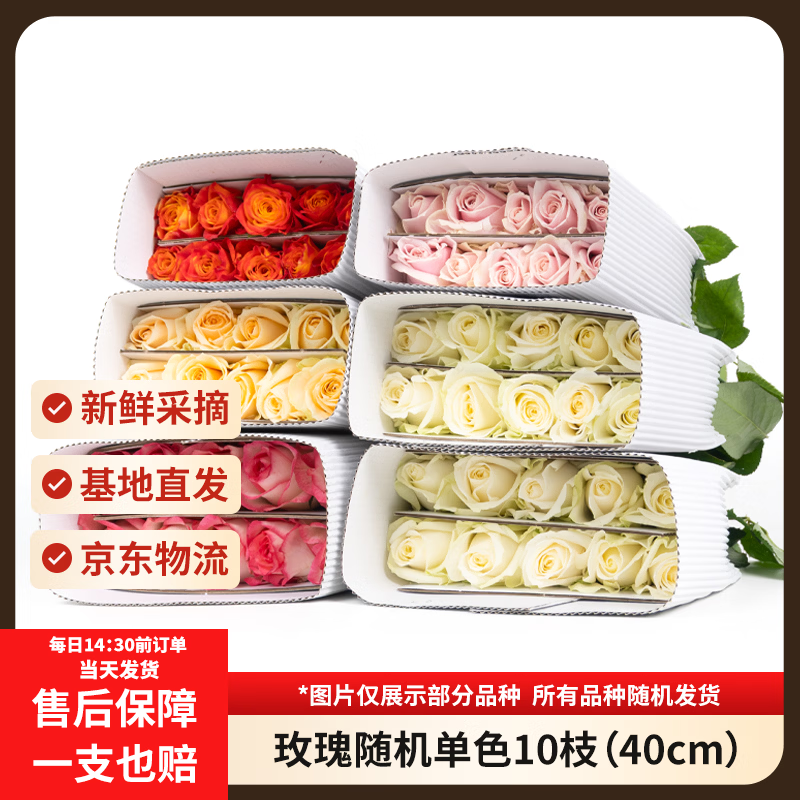 京东鲜花随机玫瑰10枝40cm起鲜切花礼品节日基地新鲜现采花期超长源头直发