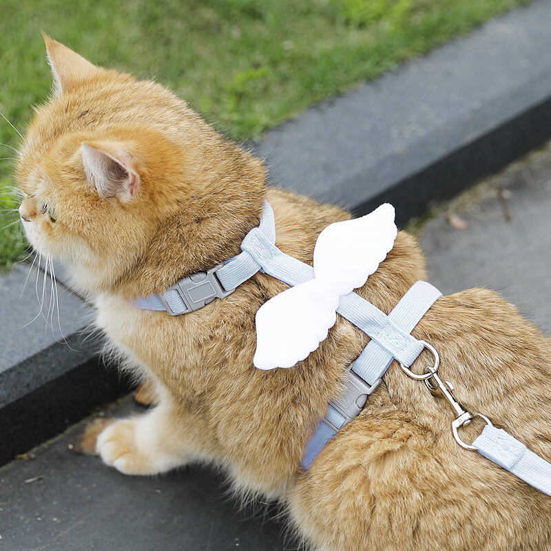 猫咪牵引绳工字型防挣脱外出遛猫绳可调节胸背带猫绳子 【工字翅膀】蓝色+1.8米牵引绳 L码【建议10-18斤】