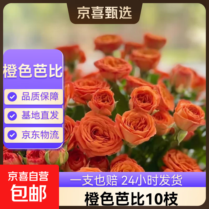 【方德玫瑰】云南鲜花基地直发玫瑰花鲜切38妇女节女神节生日礼物 60-70CM橙芭比10支
