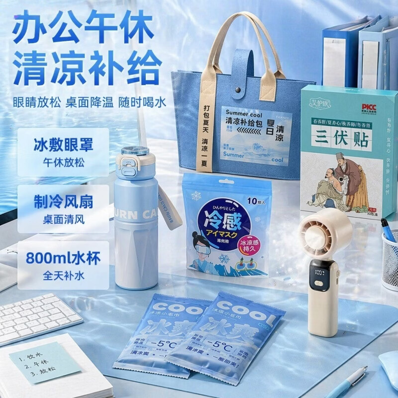 赟娅实用夏日清凉大礼包防暑降温套装端午节礼物送同事员工伴手礼袋 清凉一夏礼包【款式3】