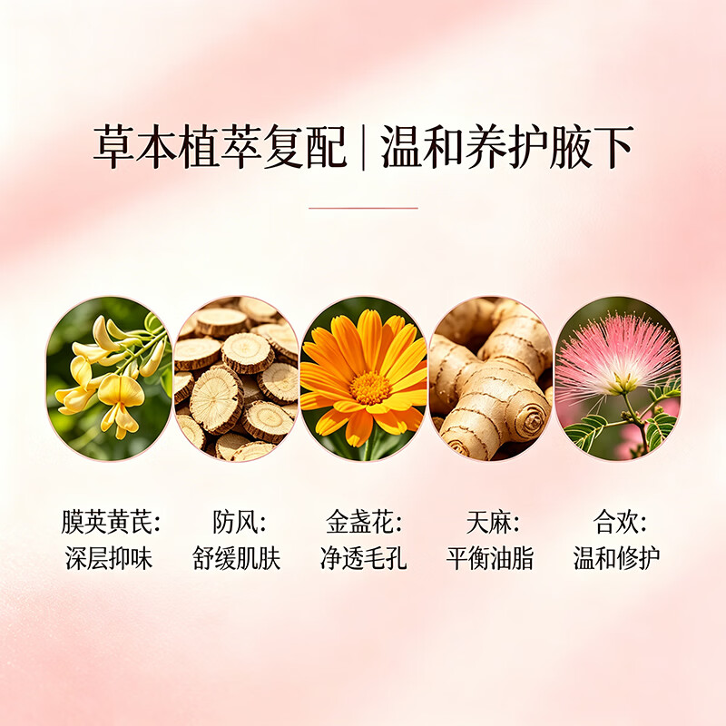 冬迪腋爽净味露滋养腋下精华消除腋窝净味草本清爽腋下异味 冬迪腋爽净味露 30毫升