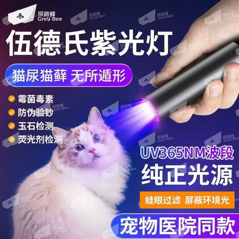 探路蜂紫光灯手电筒鉴定紫外线灯伍德式灯365紫外线照射果蔬残留验钞灯