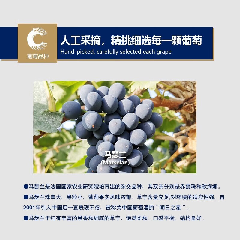中菲酒庄尊享马瑟兰干红葡萄酒橡木桶12月红酒国产新疆送礼礼盒装750m 金奖马瑟兰干红单支礼盒