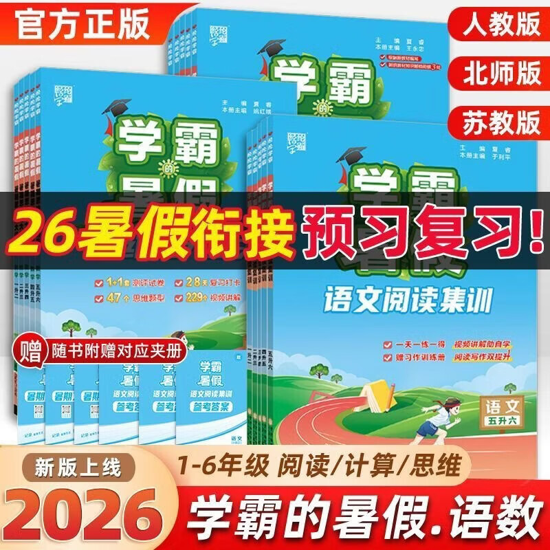 当当(DANGDANG.COM)2026秋学霸的暑假衔接作业一二三四五六年级上册下册暑假作业 语文阅读集训学霸课堂笔记数学计算思维题大通关复习预习 二升三 暑期思维大通关【数学通用版】 京东折扣/优惠券